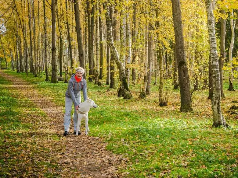 ¿Cuáles son los beneficios de caminar con regularidad?