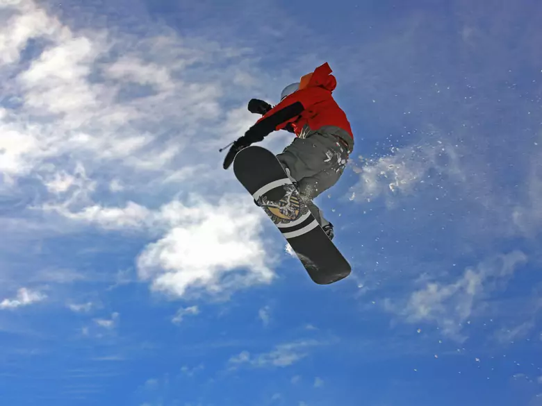 Búsqueda de novedades