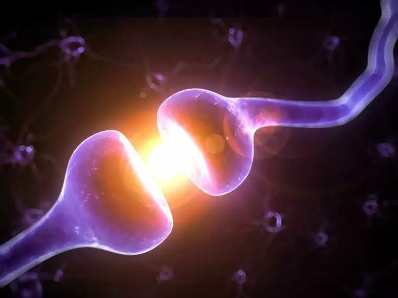 Bloqueo nervioso: ¿qué merece la pena saber sobre él?