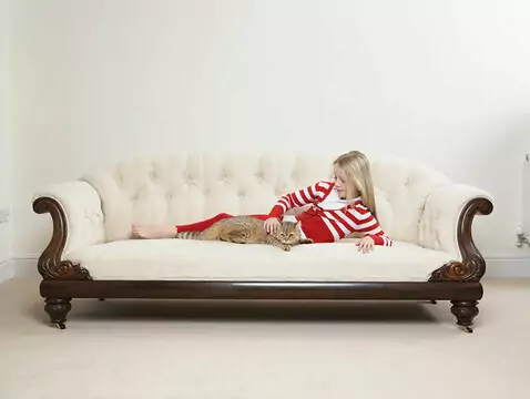 La limpieza navideña a través de los ojos de un alergólogo