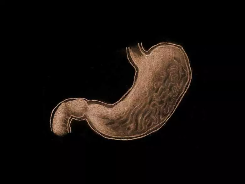 ¿Cómo afrontar los problemas digestivos?