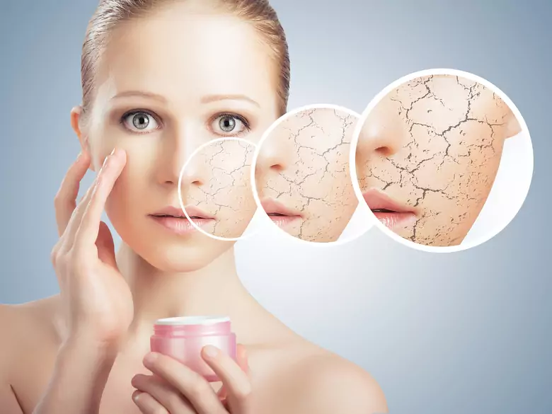 ¿Cómo está estructurada la piel humana?