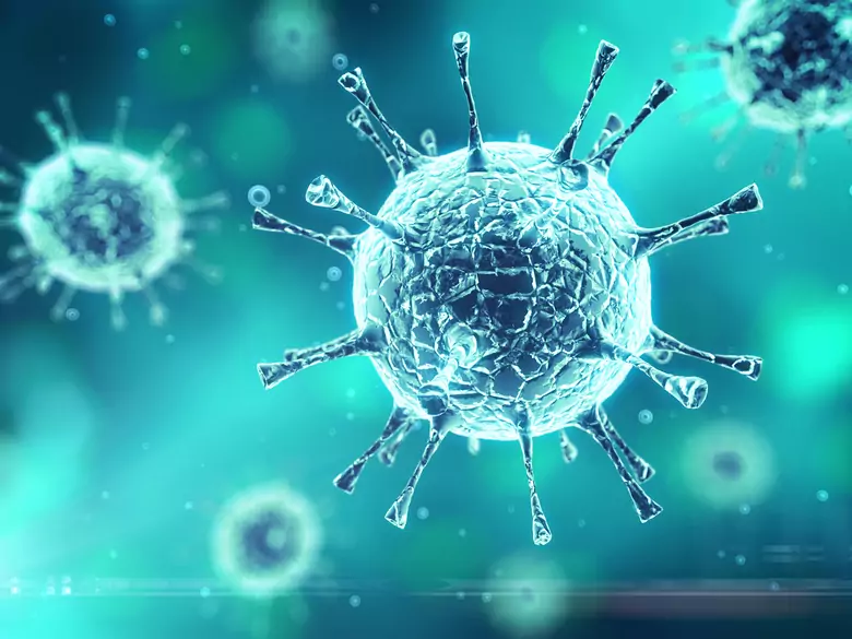 Infecciones por rotavirus en niños: cuadro clínico y principios de prevención.