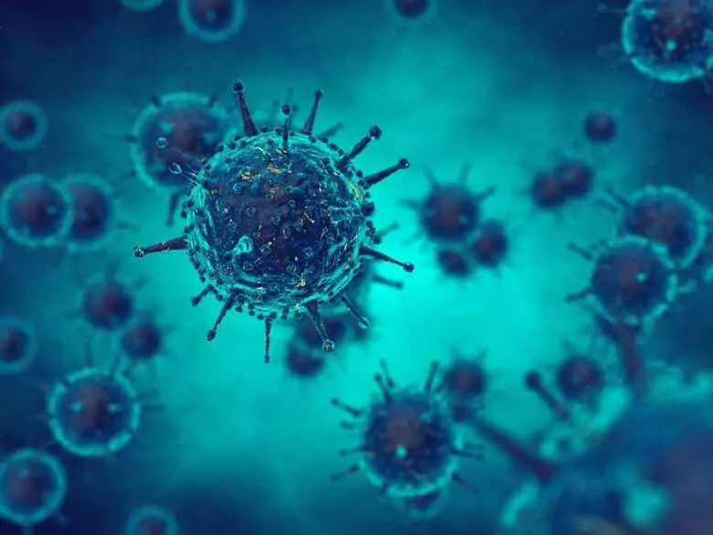 Mutaciones víricas: ¡descubra sus causas!