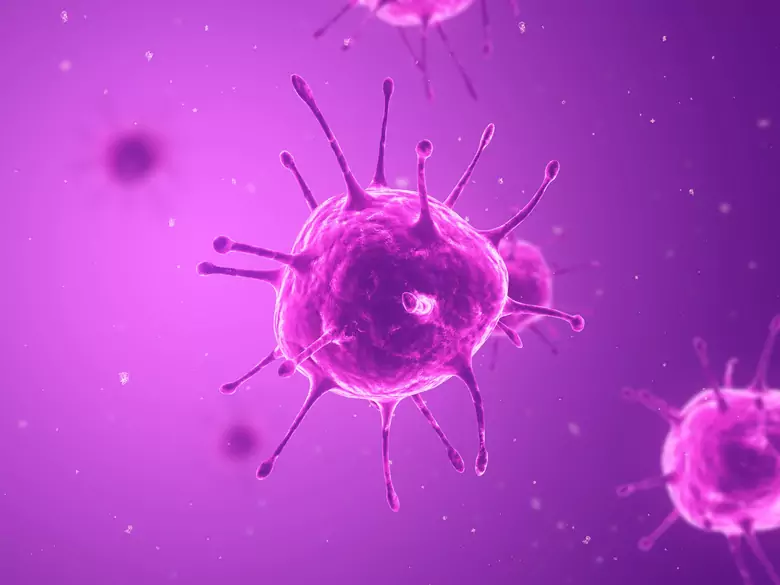 Aprobado el uso de la prueba rápida para detectar el virus del Ébola