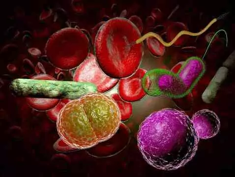 En la lucha desigual contra el rotavirus