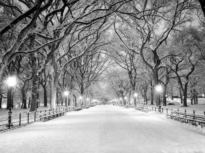 Cuide su psique en invierno