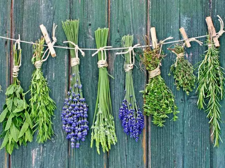 Dato interesante sobre el anís estrellado