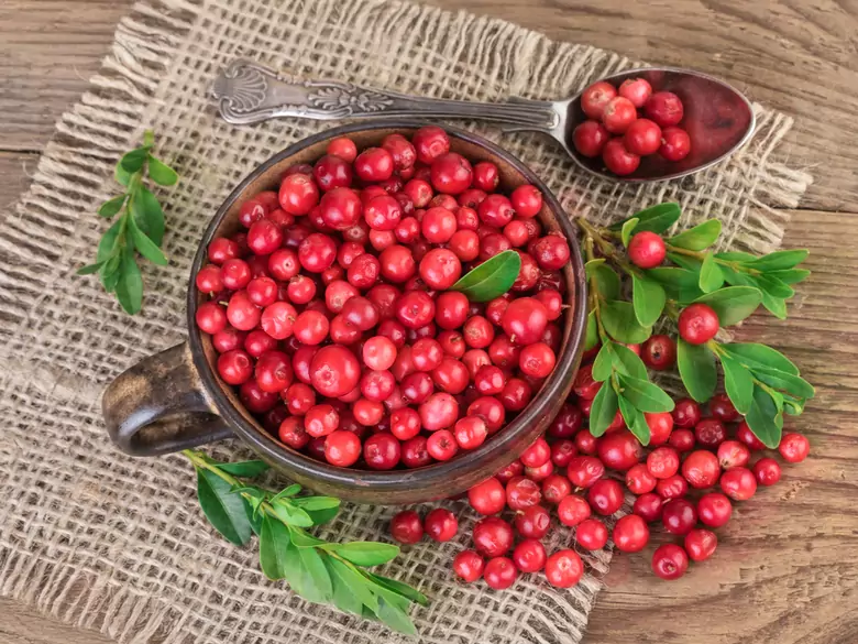 ¿Qué es una dieta sana para las personas con insuficiencia renal?